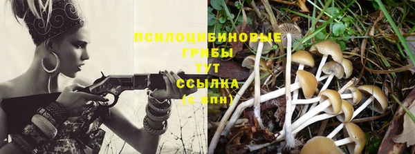 гашишное масло Пролетарск