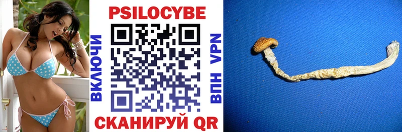 Псилоцибиновые грибы GOLDEN TEACHER хочу Армянск